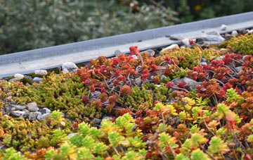 the cost of Doulting green roof installation